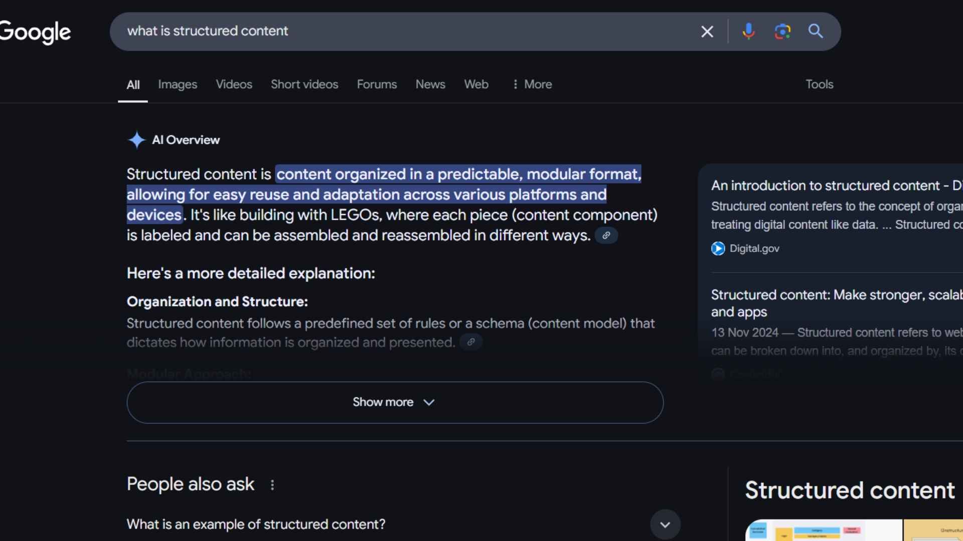 AI overview example.